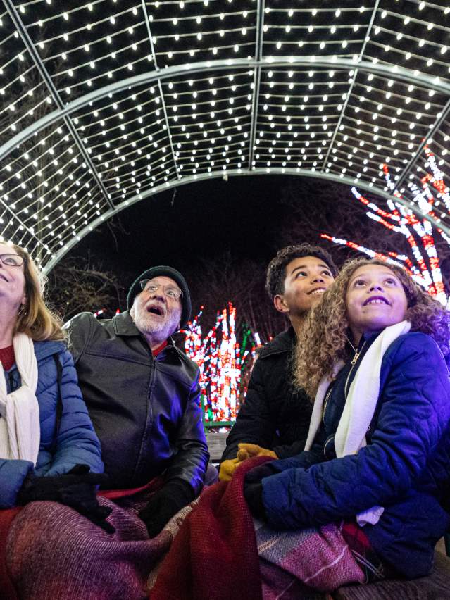 Holiday Light Show at Shady Brook Farm