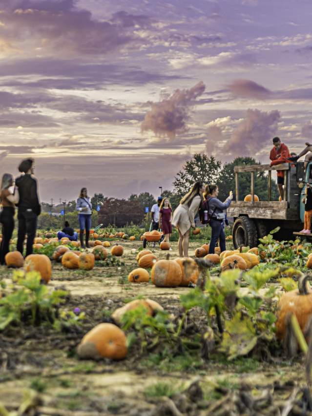 VBC Shady Brook Farm Fall Fest 2023 28