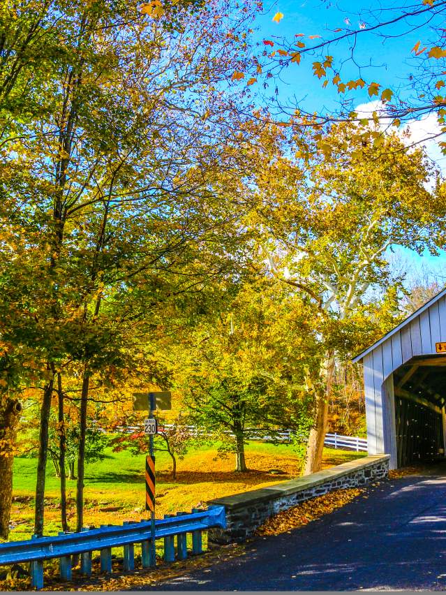 Covered Bridge In Bucks County