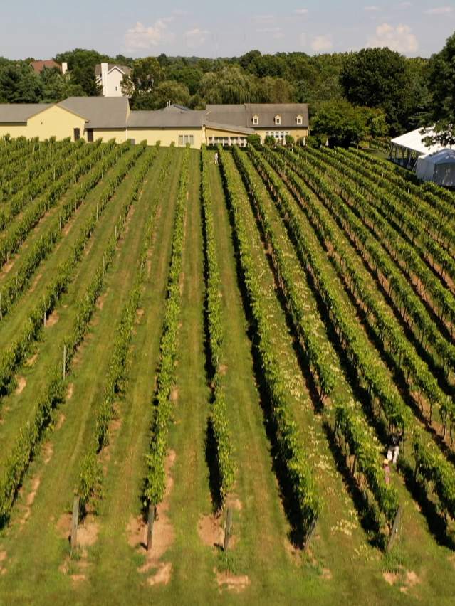 Crossing Vineyards and Winery