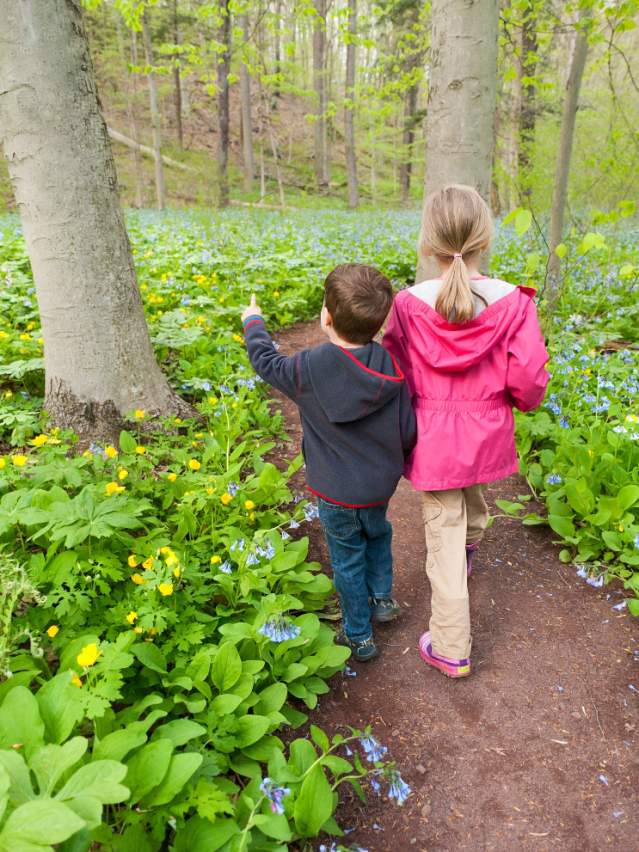 Bowman's Hill Wildflower Preserve