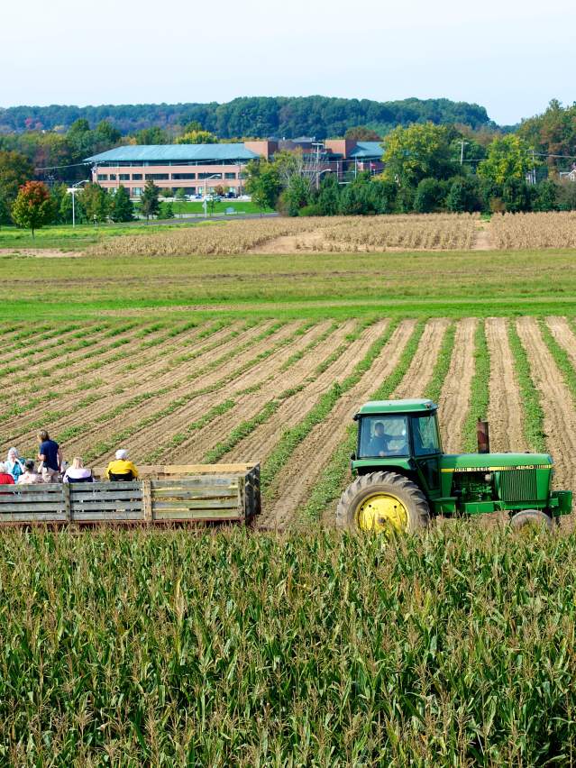 Shady Brook Farm