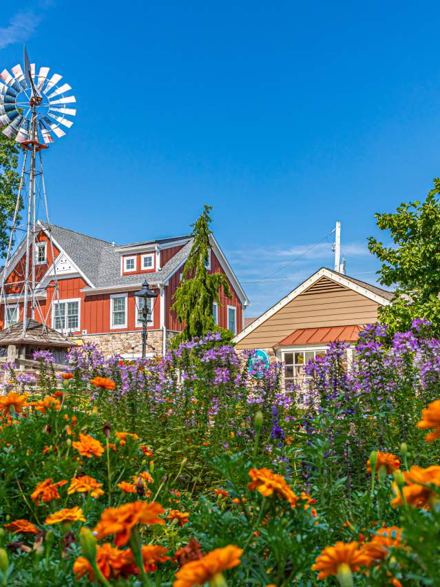 Peddler's Village Spring