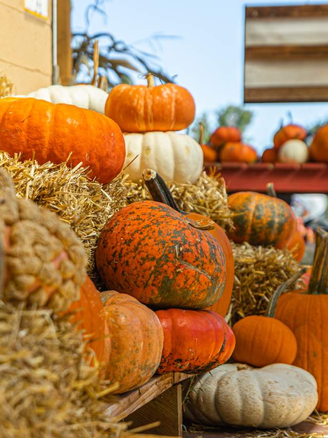 Pumpkins