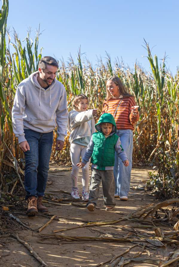 What's Up This Weekend In Bucks County