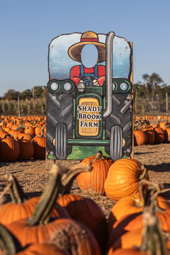 What's Up This Weekend In Bucks County
