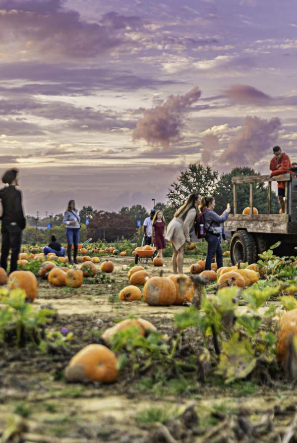 What's Up This Weekend In Bucks County