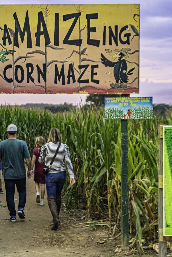 What's Up This Weekend In Bucks County