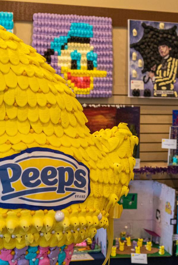 What's Up This Weekend In Bucks County