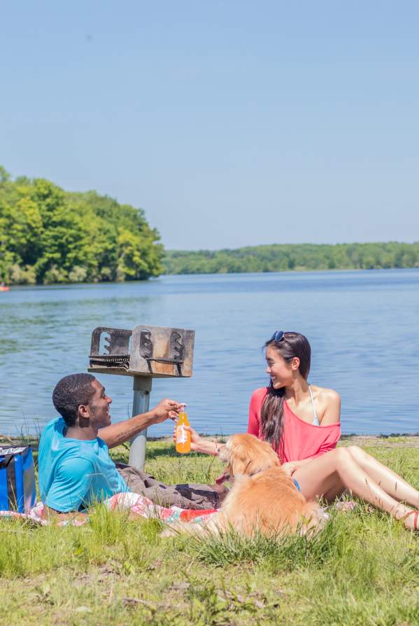 Best Dog-Friendly Hikes & Parks in Bucks County, PA – Plus Helpful Tips