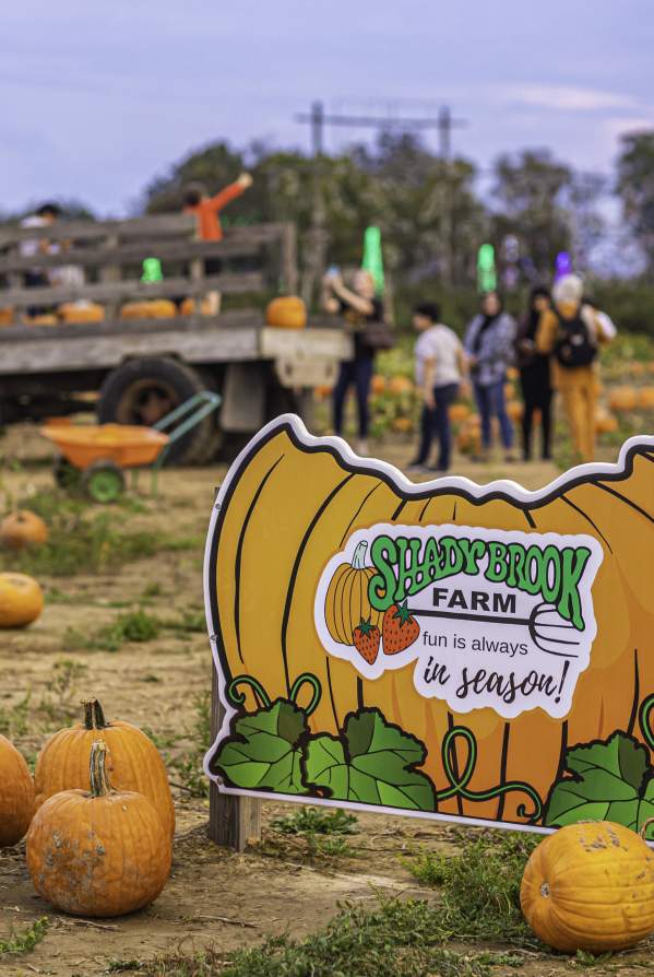 What's Up This Weekend In Bucks County