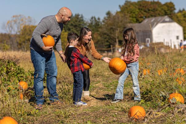 A Family Pumpkin Picking In Bucks County