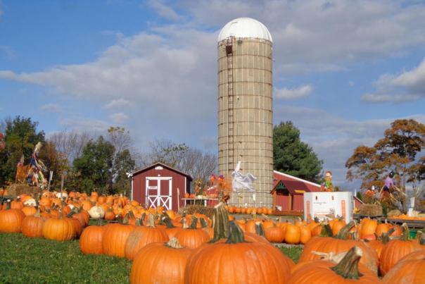 Hellerick's Family Farm