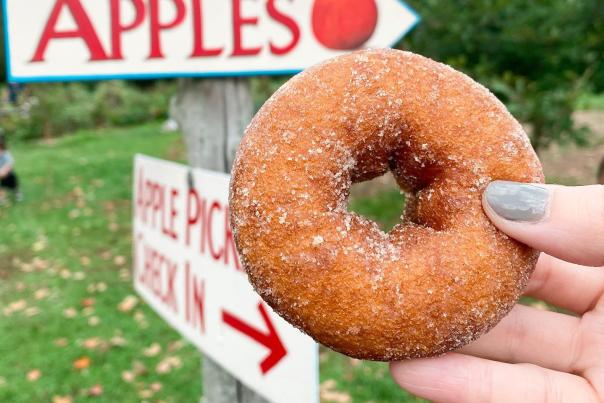 Fall Food blog