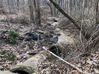 Idlewood Trail