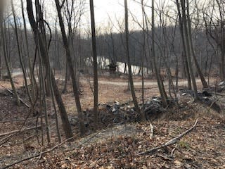 Idlewood Trail