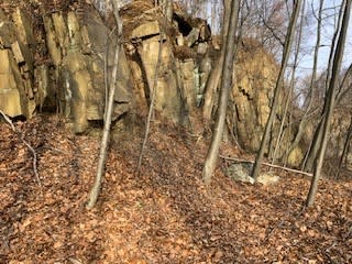 Idlewood Trail