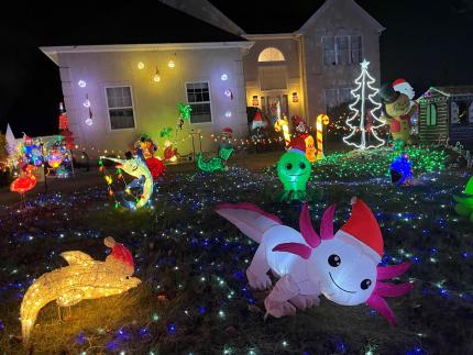 Holiday Lights- Light Up 394