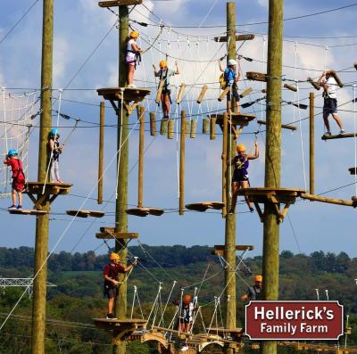 Hellerick's blog post