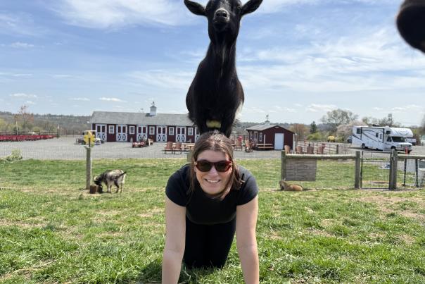 Hellerick's Goat Yoga