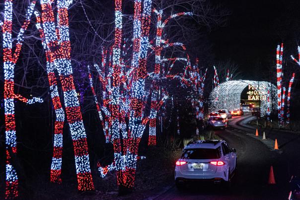 Shady Brook Farm