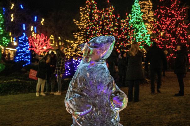 Fire & Frost at Peddler's Village