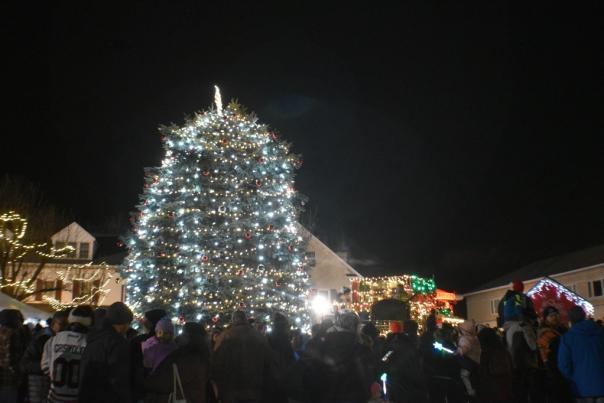 Perkasie Tree Lighting