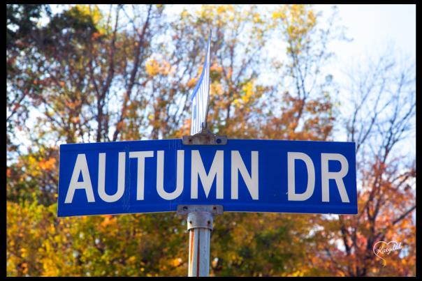 Autumn Drive