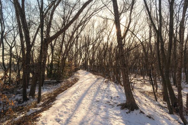 Snow in Neshaminy State Park