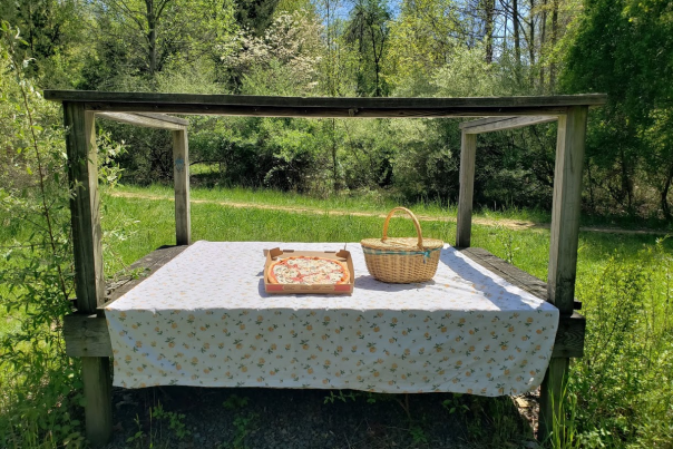 Picnic