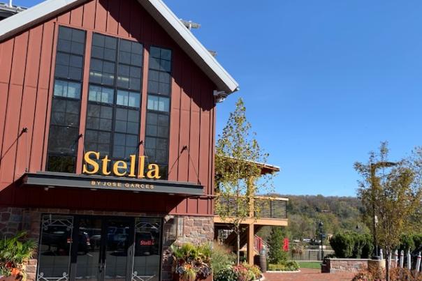 Stella