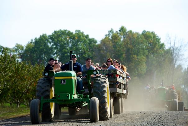 Shady Brook Farm