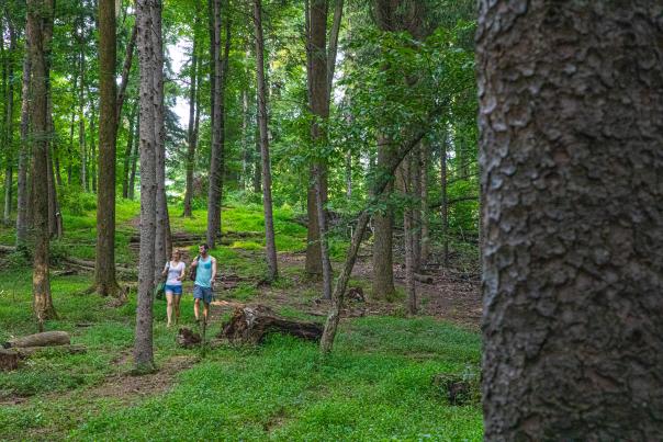 Tyler State Park