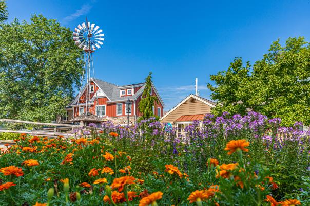 Peddler's Village Spring