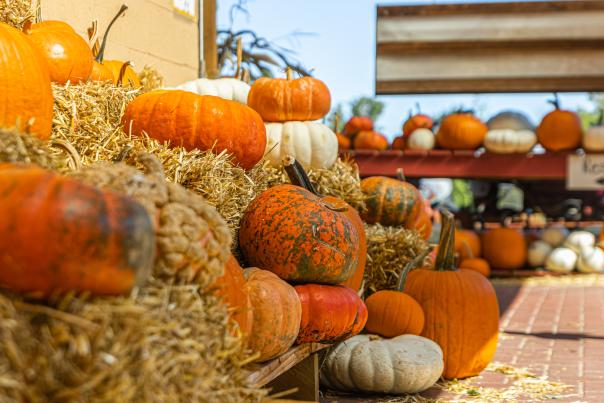 Pumpkins