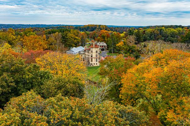 Fonthill Castle in fall