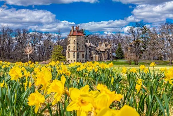 Fonthill
