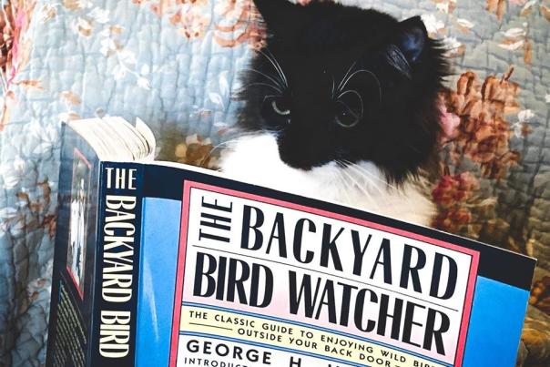 Commonplace Reader