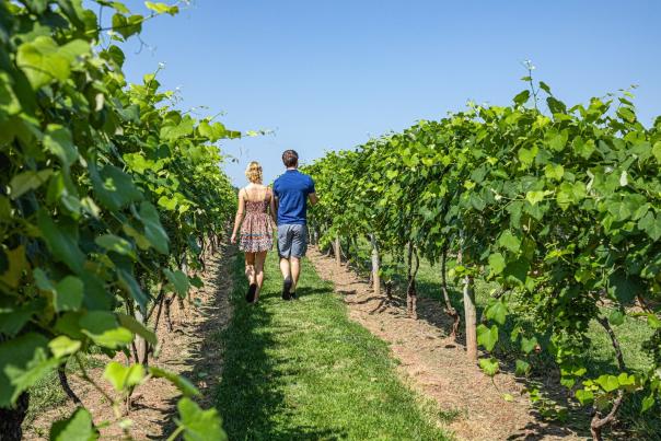 Crossing Vineyards