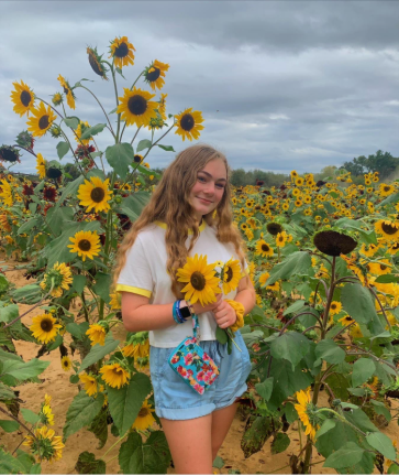 Meghan G. Shady Brook Sunflowers