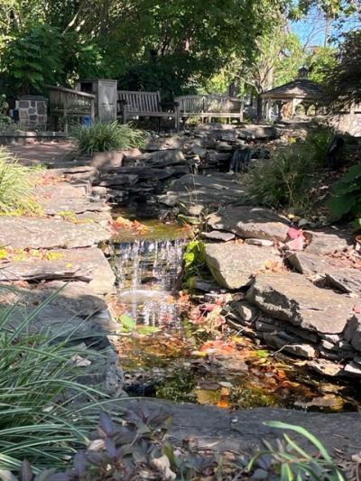 Pocket Park Blog
