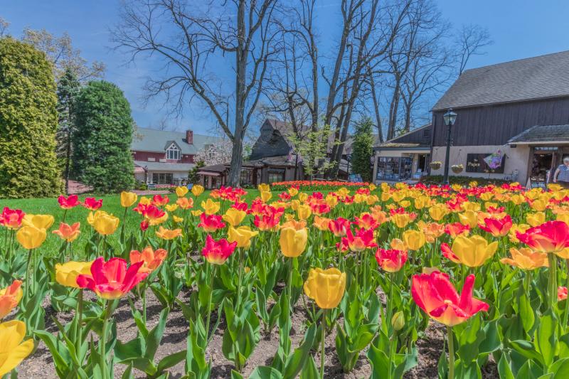 Peddler's Village