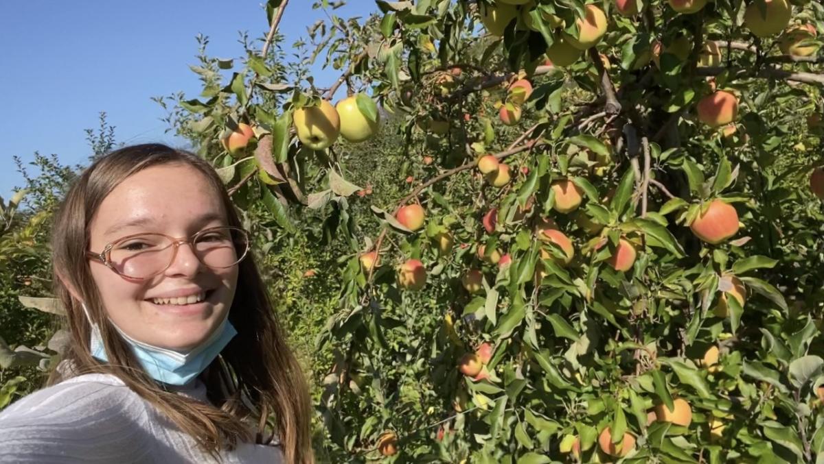 Solebury Orchards