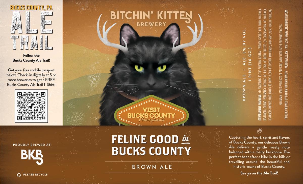 Feline Good in Bucks County