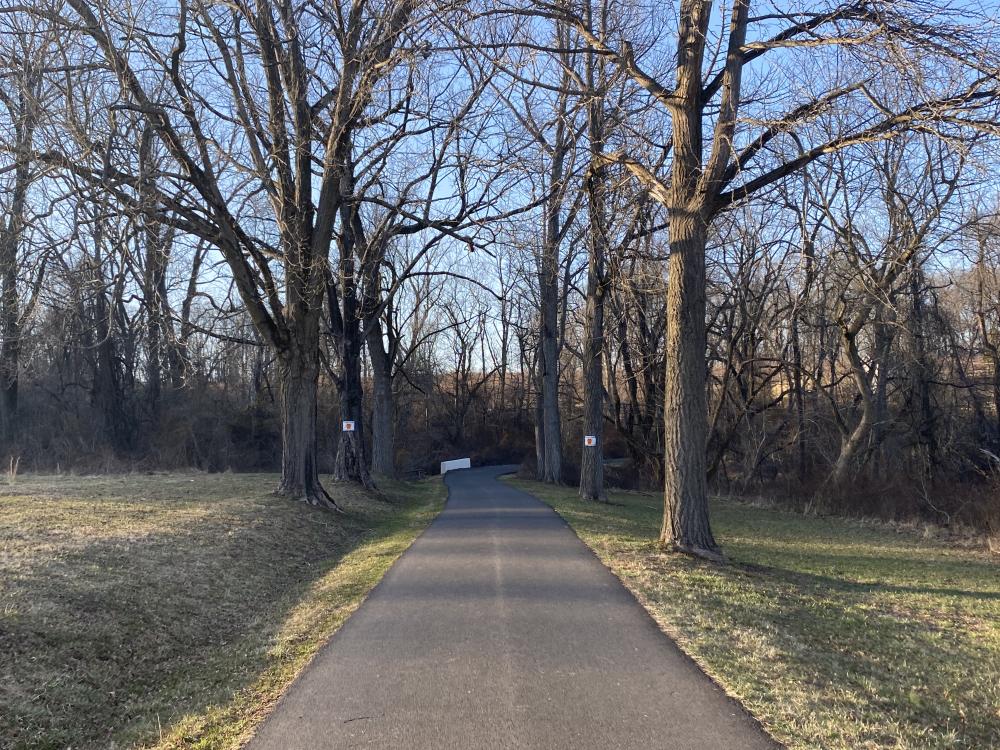 Tyler State Park