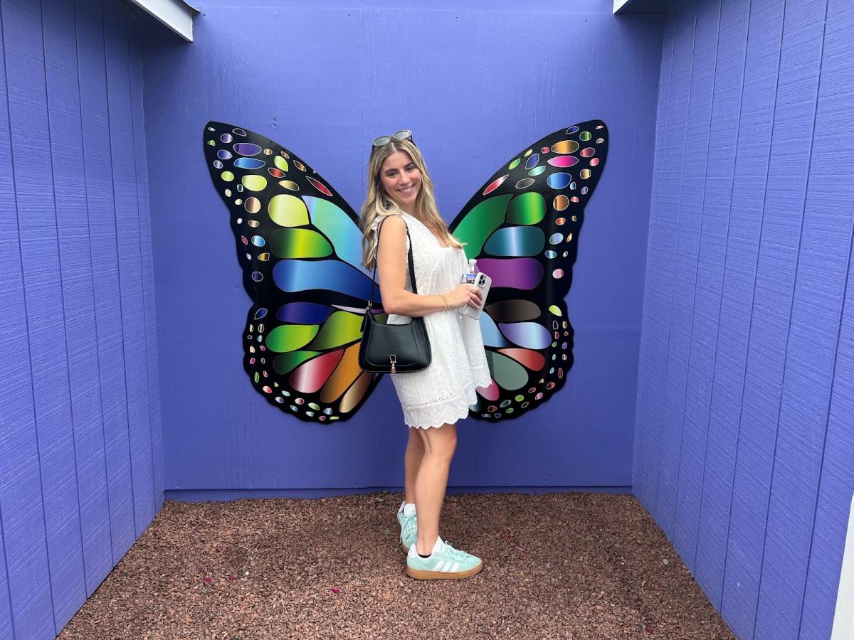 Butterfly Stops in Bucks County You Must Explore!