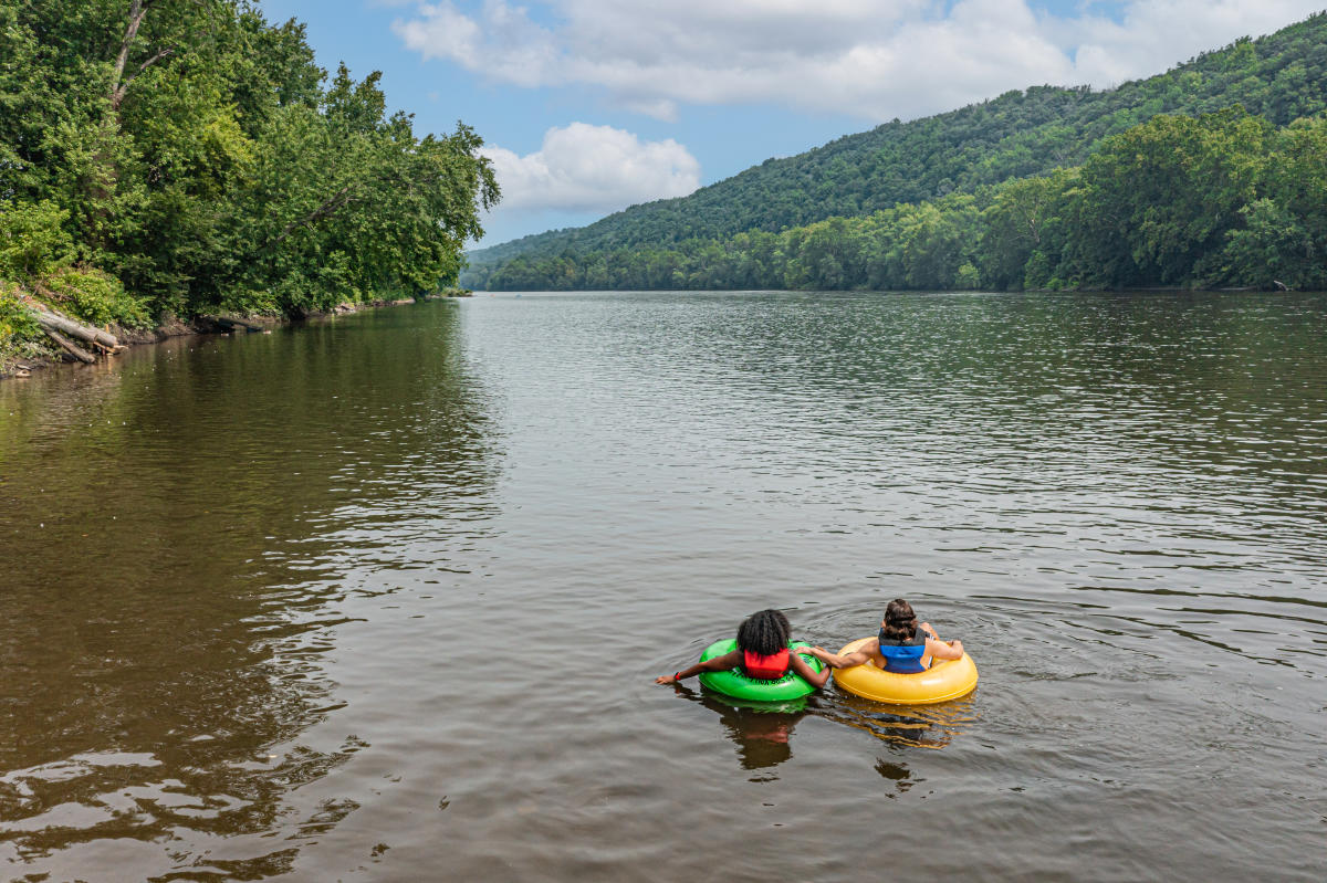 Summer in Bucks County, PA | Festivals, Sunflowers & Outdoor Fun