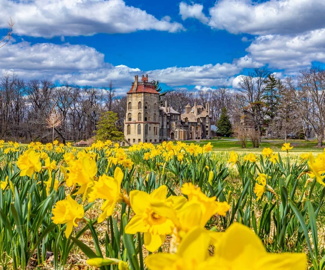 What’s Up This Weekend: 15 Ways to Celebrate Spring’s Arrival