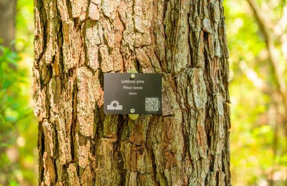 Rooted in History: New Ashem Arboretum Connects Past and Present