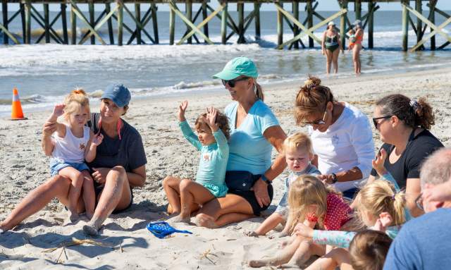 Wee Wild Ones: Bouncing Beachcombers